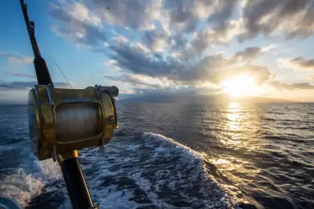 Catch of the Day: Fishing in the Adriatic Sea